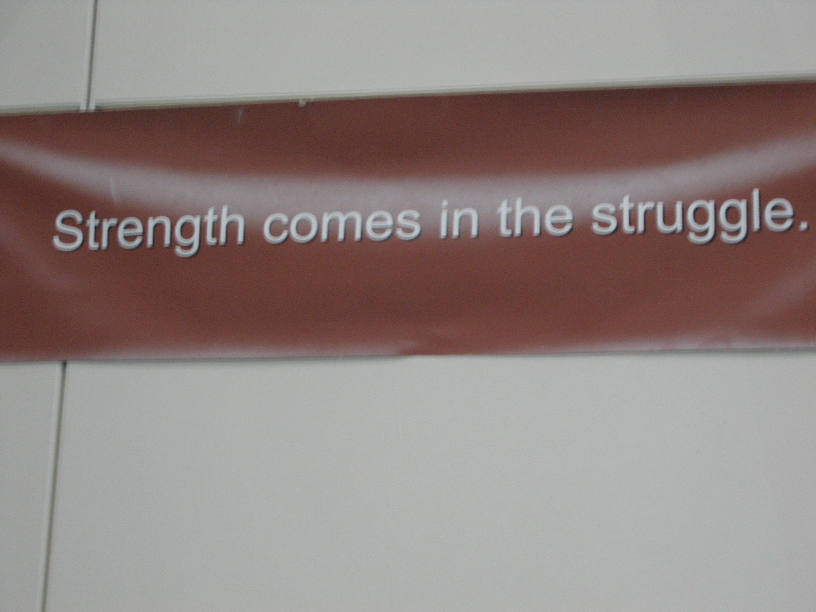 strength comes in the struggle!