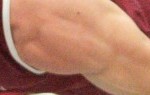cropped-sho-sr-maltese5.jpg