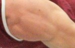 cropped-sho-sr-maltese6.jpg