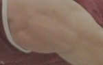 cropped-sho-sr-maltese7.jpg