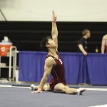 mpsf-fx-3.jpg