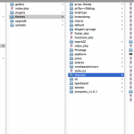 Folder Hierarchy